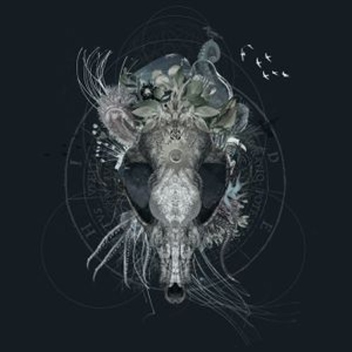 Live @ Rhéa's + Edge of Wrong Festival, Cape Town [Apr 2018]